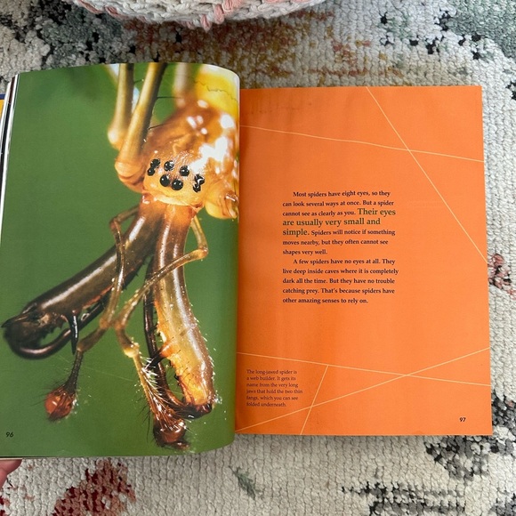 Wonders Grade 4 Literature Anthology children’s learning book - Picture 4 of 16